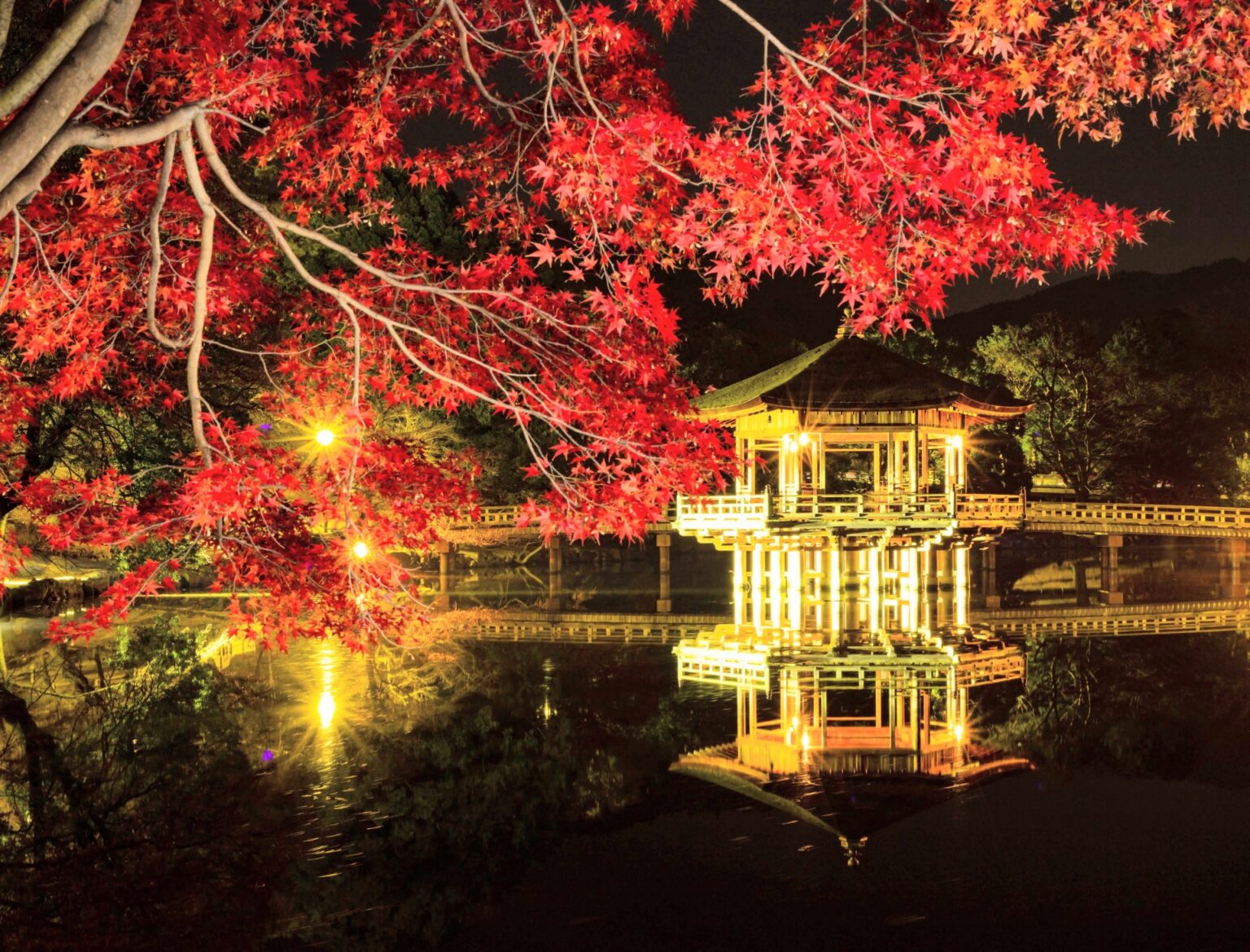 奈良公園の紅葉スポットの見頃は？ライトアップありの見どころ満載！ | お役立ち情報館