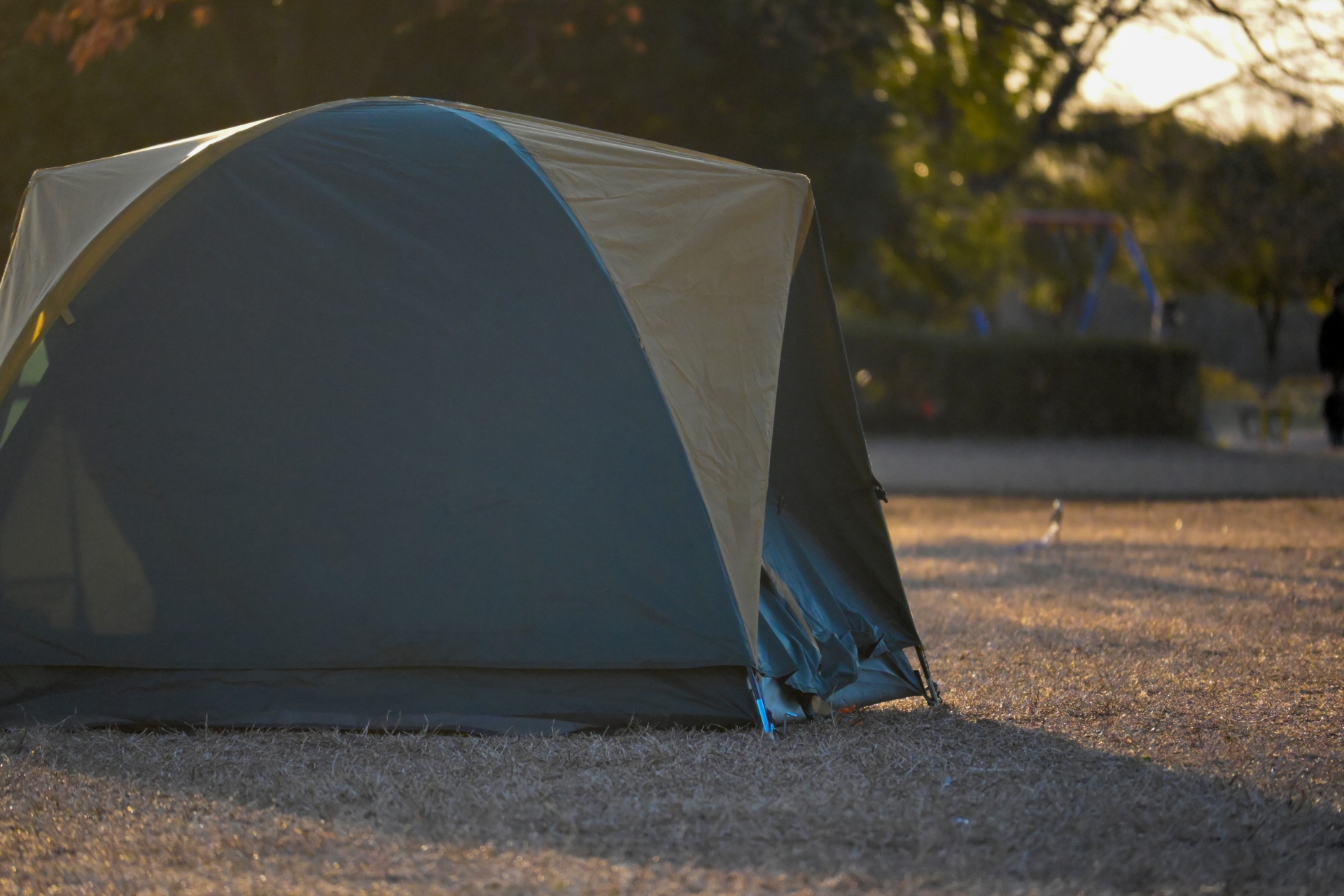 冬キャンプはテントとタープを合体 安全な暖房で防寒対策は万全 お役立ち情報館